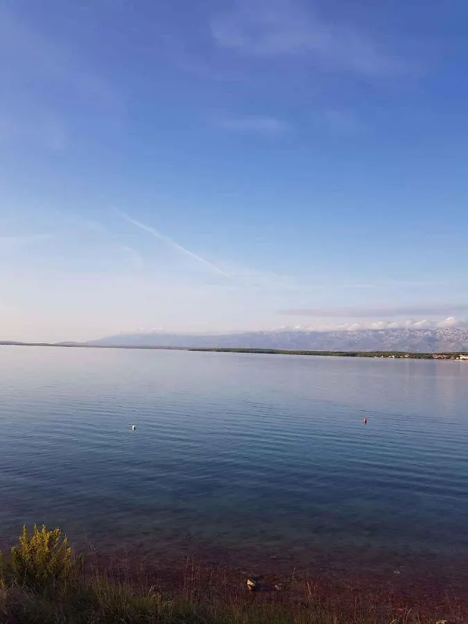 Apartments In Vrsi - Zadar Riviera 41399 Croatia